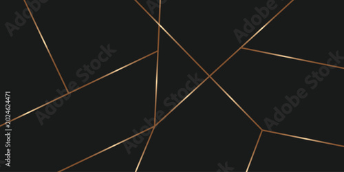 Abstract geometric background with thin copper lines on a dark black surface modern minimalist pattern for luxury design Vector illustration