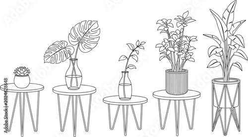 Fotografi Minimalist continuous line art indoor plants illustration with succulents, monst