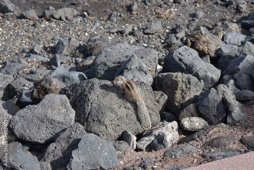 Fuerteventura in January – Volcanic Landscapes, Endless Beaches and Wild Coastlines of the Canary Islands 