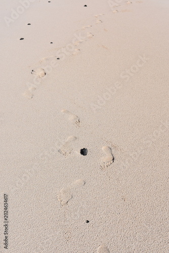 Fuerteventura in January – Volcanic Landscapes, Endless Beaches and Wild Coastlines of the Canary Islands 