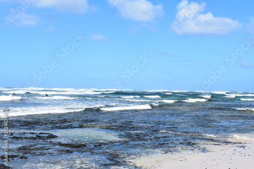Fuerteventura in January – Volcanic Landscapes, Endless Beaches and Wild Coastlines of the Canary Islands 