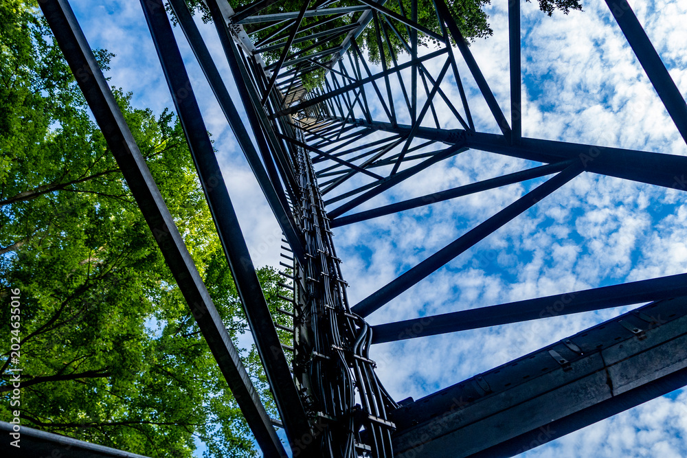 Obraz premium Funk und Sendemast im Wald