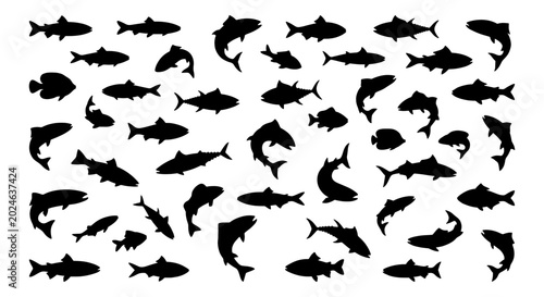 Bild auf Leinwand Diverse Fish Silhouettes Collection, Aquatic Life Vector Icons, Seafood and Fish