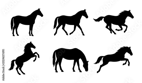 Foto Horse Silhouettes Collection: Galloping, Standing, Rearing Equine Vector Icons f