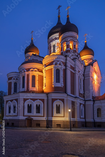 Alexander Nevsky Cathedral At Night In Tallinn