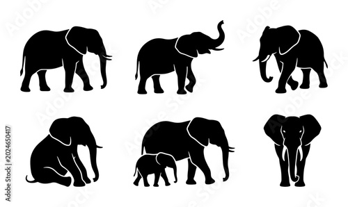 Photography Elephant Silhouettes Collection: Diverse Poses of African Elephants, Vector Art
