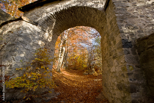 Autumn landscape ancient ruins in an autumnal forest