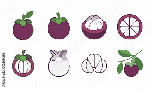 Bild auf Leinwand Modern mangosteen vector icon collection with flat linear tropical fruit designs