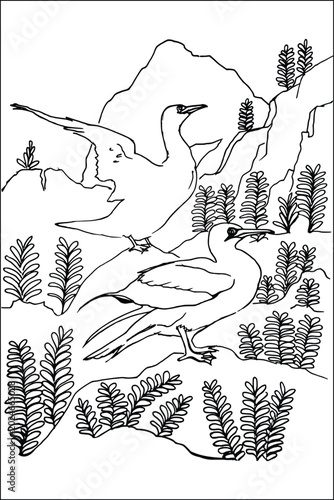 Quadro su tela Hand drawn realistic seabirds gannet on rocky cliff, coloring page for kids and