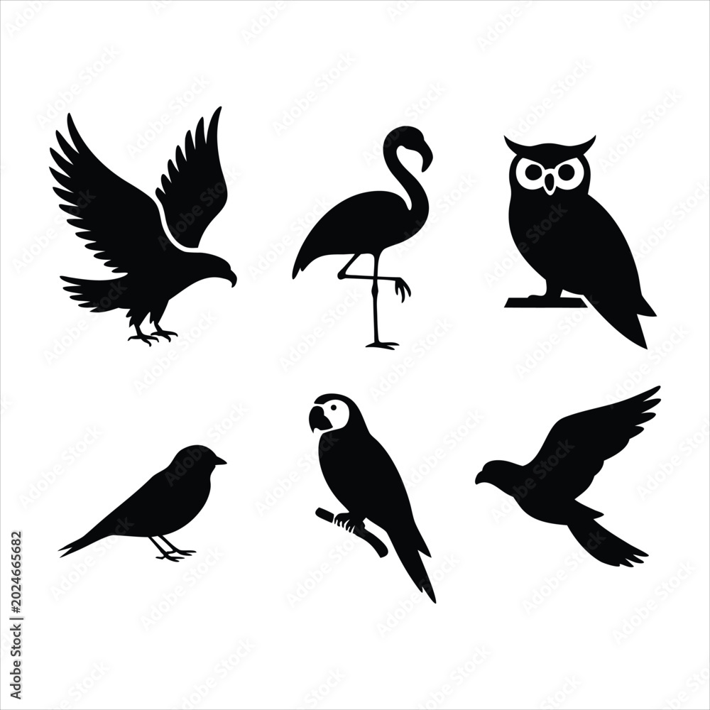 Obraz premium Black silhouettes of various birds on white background