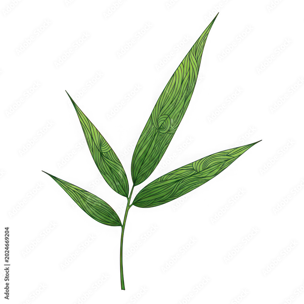 Fototapeta premium Simple green leaf with dotted texture on transparent background