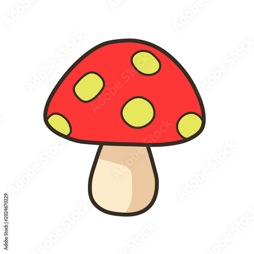 Photos fly agaric mushroom