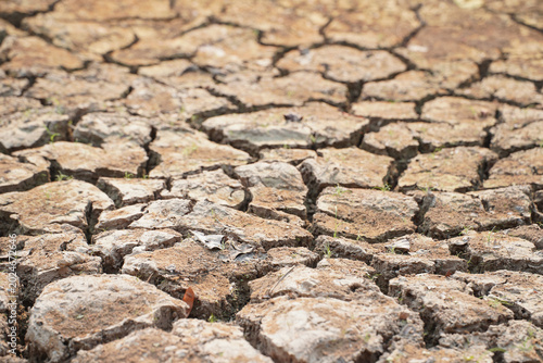 Fotografía Parched Earth: A close-up view of cracked, dry earth, illustrating the severe effects of drought and arid conditions