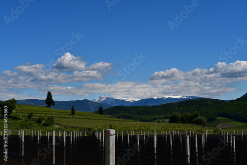Photos Schöne Landschaft bei Kaltern in Südtirol