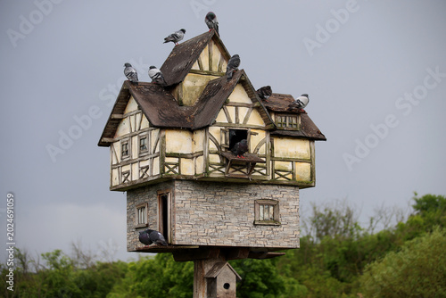 Photos A pigeon coop, a dovecote, or a birdhouse on a farm