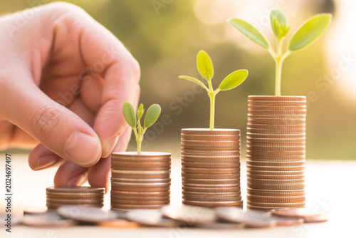 Hand placing coin on stack of money with growing green sprout representing financial investment and saving success.