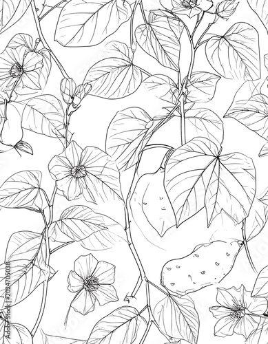 Delicate botanical line drawing of vines and blossoms