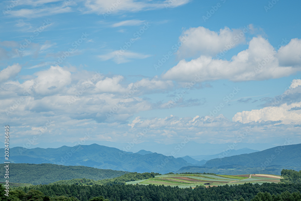 Fototapeta premium 群馬・嬬恋村 愛妻の丘から望む夏の山並みと広大な高原景色