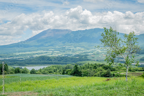 群馬・嬬恋村 愛妻の丘から望む浅間山と夏の高原風景