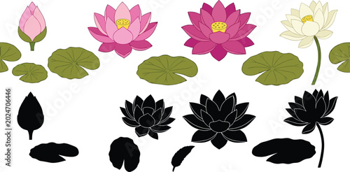 Bild auf Leinwand Lotus Flower and Lily Pad Collection Illustration with Pink Water Lilies, Botani
