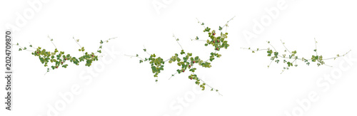 Duchesnea indica tree plan, top view, cutout, transparent background, isolate, Delicate tendrils of ivy climbing, lush green foliage, natural texture, botanical detail, spring growth