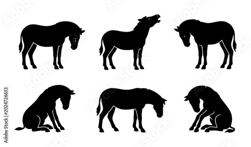 Billede på lærred Set of Six Horse Silhouettes, Equine Poses Vector Icons, Black Animal Graphics f