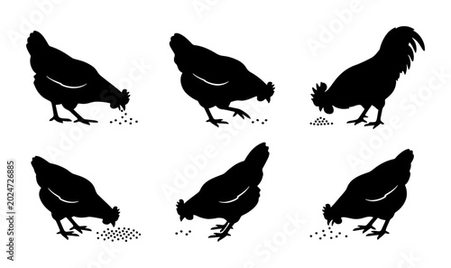 Bild auf Leinwand Farm Animal Silhouettes, Six Chicken Vector Icons, Black and White Poultry Graph