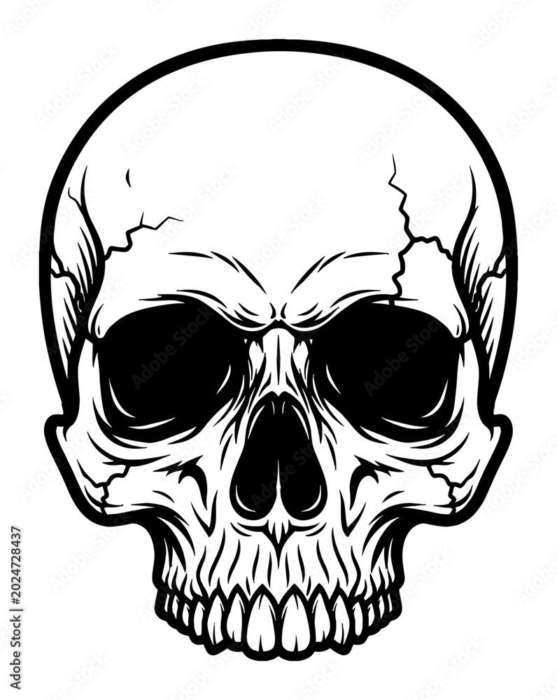 Fototapeta premium Front View Human Skull Head Black and White Outline Line Art Drawing Vector Illustration Design