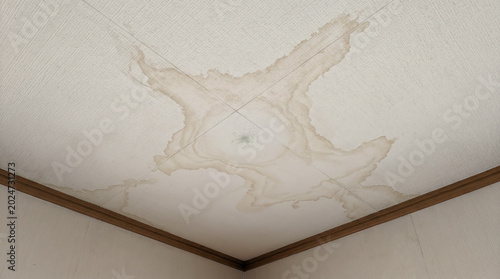 部屋の天井にできた雨漏りによる大きな水濡れのシミとカビによる住宅被害のイメージ