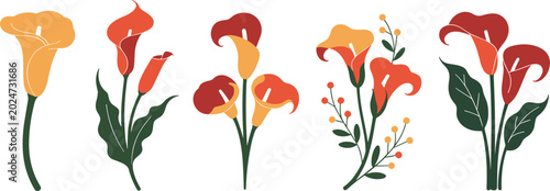 Bild auf Leinwand Elegant calla lily flower vector illustration set with colorful orange and red b