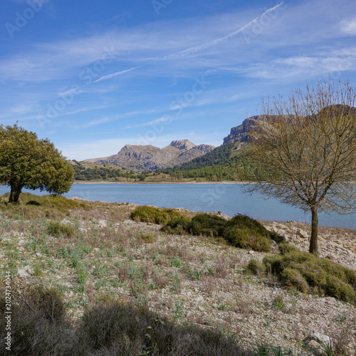 Mallorca, Spain - 15 Feb 2026: Cuber Reservoir in Mallorca's Tramuntana mountains