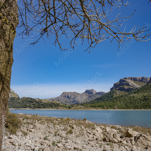 Mallorca, Spain - 15 Feb 2026: Cuber Reservoir in Mallorca's Tramuntana mountains
