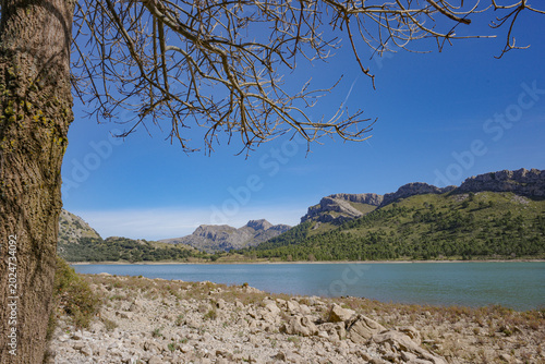Mallorca, Spain - 15 Feb 2026: Cuber Reservoir in Mallorca's Tramuntana mountains