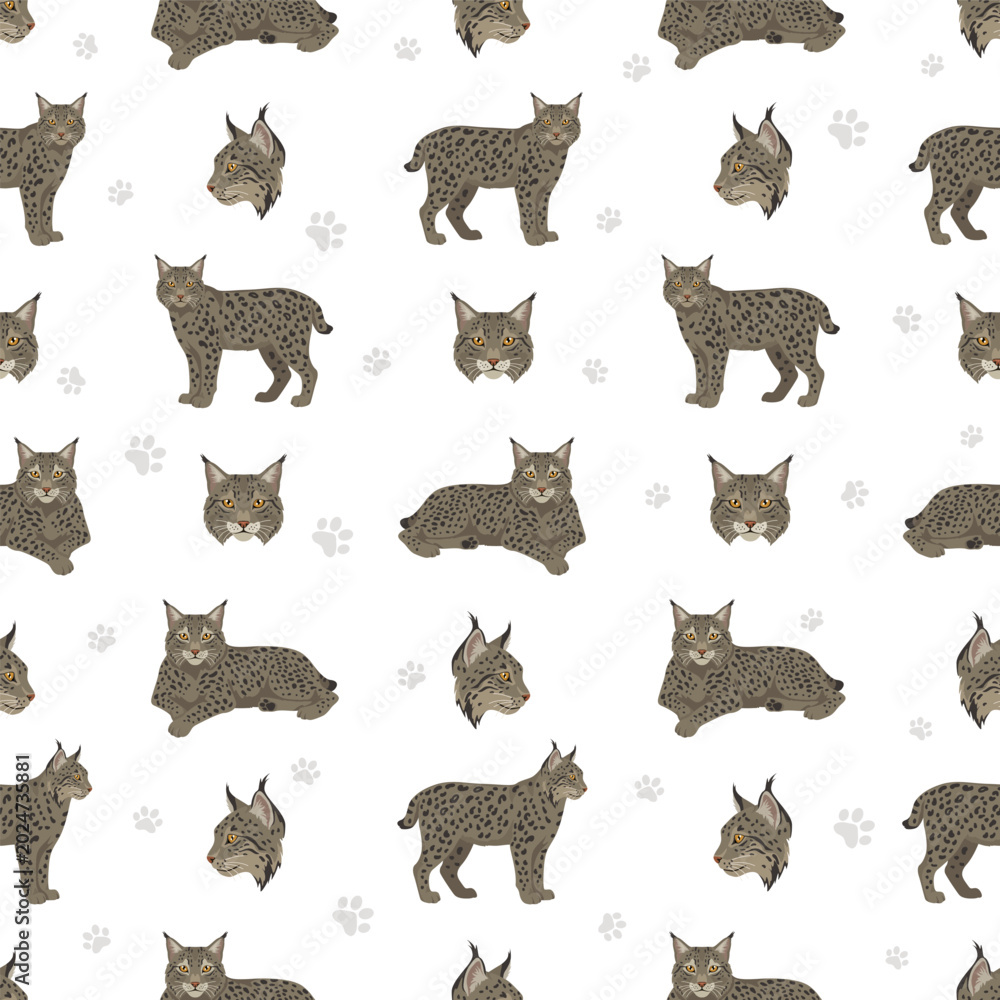 Fototapeta premium European wild cats. Eurasian lynx seamless pattern. Vector illustration