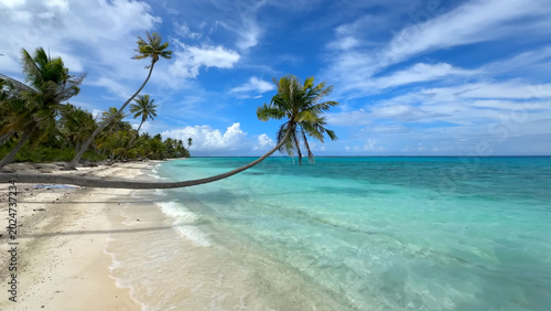 Luxury resort photo of French Polynesia tropical paradise island Fakarava with palm trees. Photography with azure ocean, sky with clouds. Pacific Ocean.