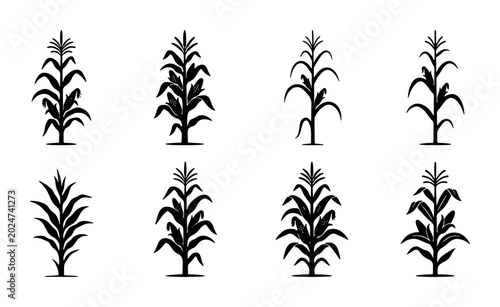 Foto Corn Stalk Vector Icons, Maize Plant Silhouettes, Agricultural Crop Illustration