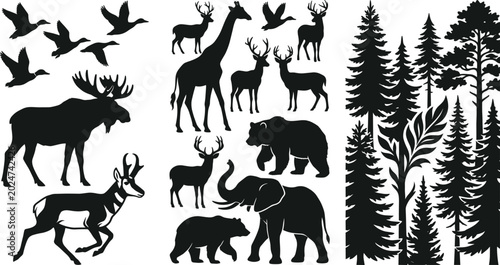 Photography Wildlife and forest silhouette collection with deer elephant bear giraffe birds