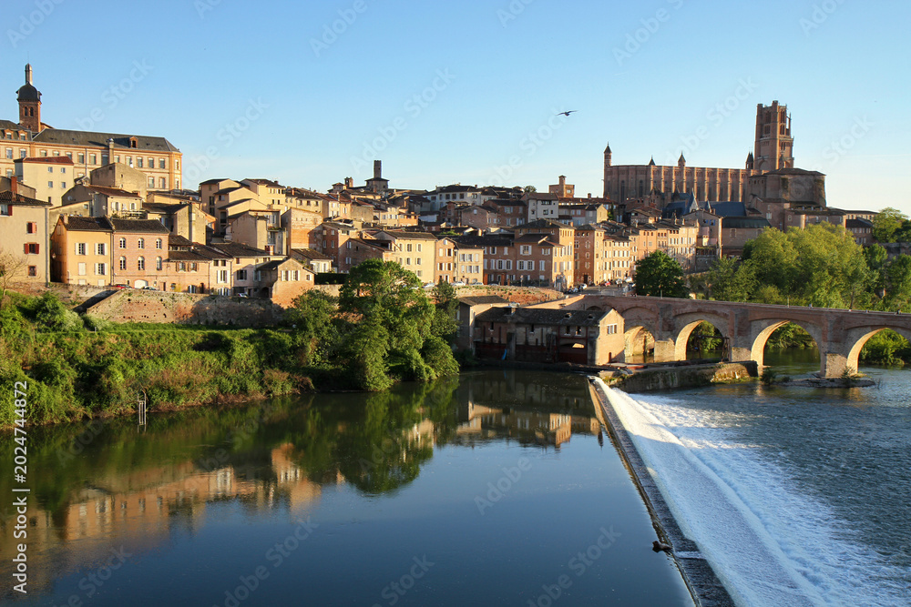 Fototapeta premium Vue d Albi depuis le Tarn, pont-vieux et cathedrale Sainte-Cecile sous un ciel bleu, vieux quartier medieval en brique rouge, patrimoine UNESCO