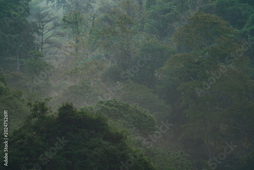 World Environment Day and E...