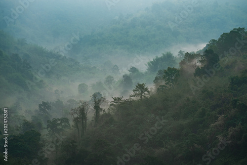 World Environment Day and E...