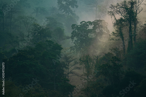 World Environment Day and E...