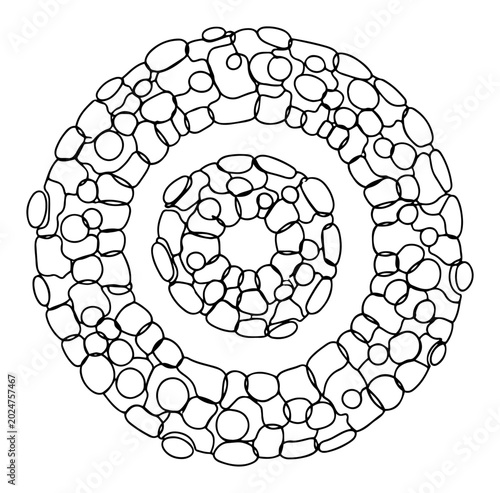 Canvas Print Three concentric rings composed of small pebbles or smooth stones in clean line
