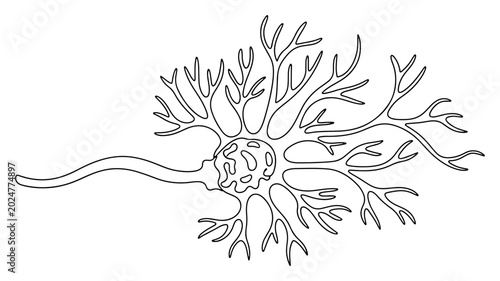 Photos Human neuron nerve cell with dendrites and axon representing brain activity in l