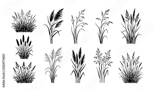 Photos Wild meadow grass silhouette vector set with detailed reed tufts for landscape d