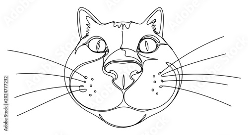Fotografie Cat face with whiskers close up minimalist animal line art
