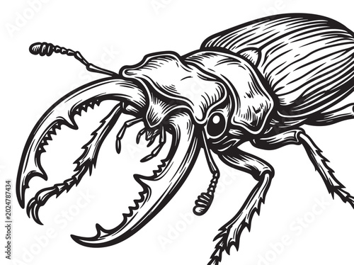 Bilde på lerret Stag Beetle, Insect Illustration, Black and White Vector, Wildlife Graphic