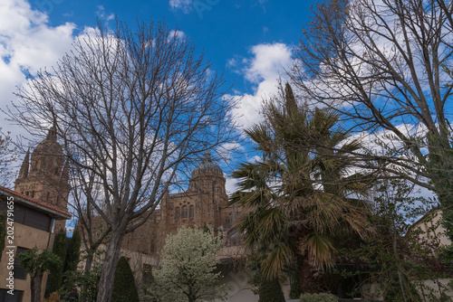 Atmospheric photographs of Salamanca, Spain, featuring Gothic cathedrals, historic streets, cloisters, ornate stone carvings, and classical Spanish