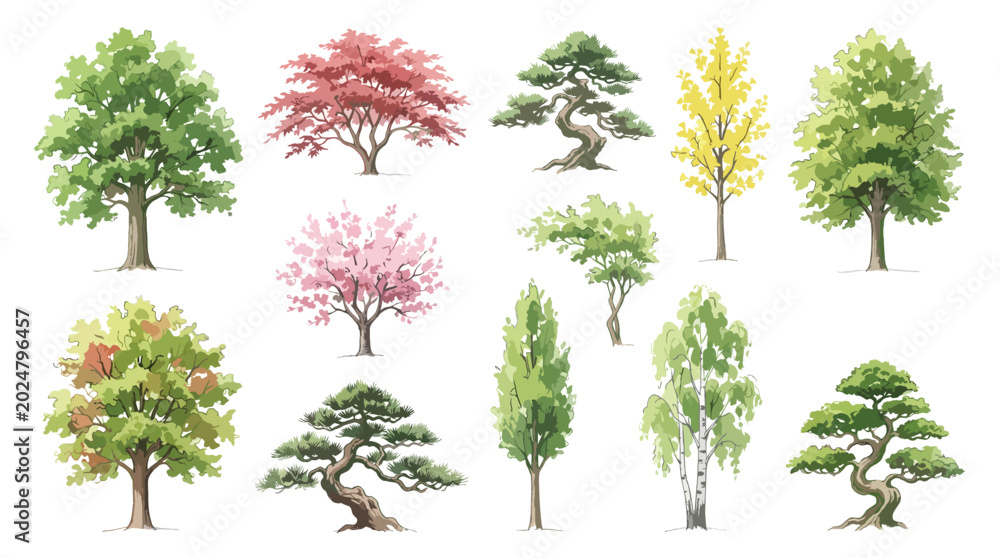 Fototapeta premium Set of various stylized trees