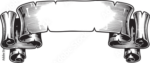 Metallic scroll frame, silver label, ornate border, vector emblem