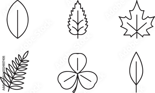 Leaf icons, vector leaf shapes, botanical symbols, black line art